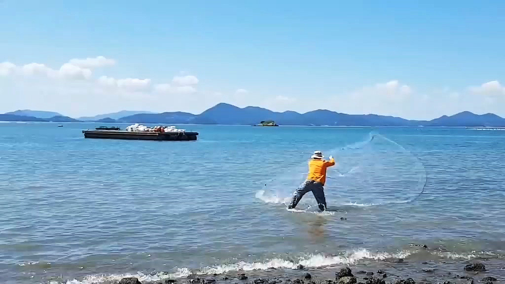 就在海边,一网打上来许多小鲜鱼!